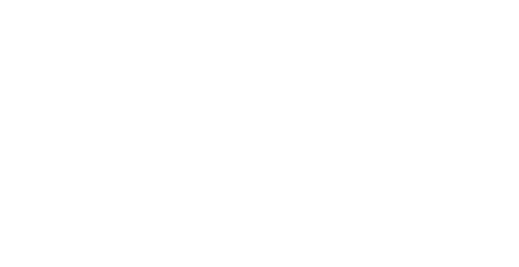 BECOME A SUCCESSFUL EXPERIENCE. 
